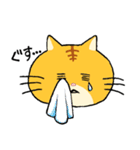 ゆる猫 茶トラ（個別スタンプ：13）