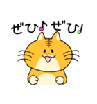 ゆる猫 茶トラ（個別スタンプ：24）