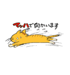 ゆる猫 茶トラ（個別スタンプ：34）