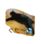 黒猫のあめしゃん（個別スタンプ：3）