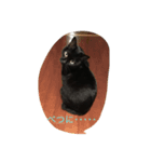 黒猫のあめしゃん（個別スタンプ：6）