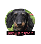 ののとぽぽ。（個別スタンプ：3）