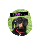 ののとぽぽ。（個別スタンプ：4）