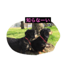 ののとぽぽ。（個別スタンプ：5）