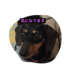 ののとぽぽ。（個別スタンプ：7）