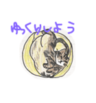 くりぽう（個別スタンプ：5）