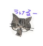 くりぽう（個別スタンプ：14）
