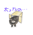 くりぽう（個別スタンプ：16）