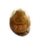 うさぎのもふ（個別スタンプ：8）