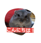 はむたん（個別スタンプ：2）