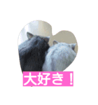 はむたん（個別スタンプ：8）
