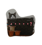 ぽんきちの楽しい1日（個別スタンプ：1）