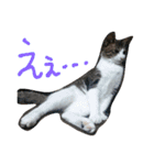 ぽんきちの楽しい1日（個別スタンプ：10）
