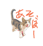 ぽんきちの楽しい1日（個別スタンプ：14）