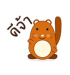 Brown little raccoon（個別スタンプ：1）