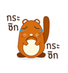 Brown little raccoon（個別スタンプ：7）