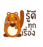 Brown little raccoon（個別スタンプ：14）