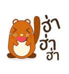 Brown little raccoon（個別スタンプ：16）