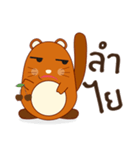 Brown little raccoon（個別スタンプ：18）