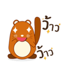 Brown little raccoon（個別スタンプ：23）