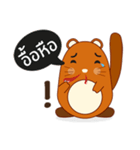 Brown little raccoon（個別スタンプ：29）