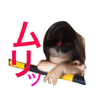 リアちゃん 其の壱（個別スタンプ：33）