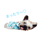 ゆりとRandy（個別スタンプ：1）