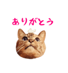 コトのおちり（個別スタンプ：3）