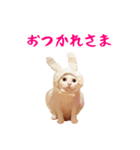 コトのおちり（個別スタンプ：5）