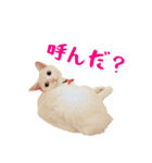 コトのおちり（個別スタンプ：8）