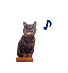 コトのおちり（個別スタンプ：10）