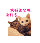 コトのおちり（個別スタンプ：13）
