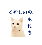 コトのおちり（個別スタンプ：14）