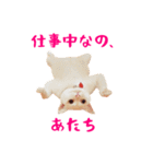 コトのおちり（個別スタンプ：15）