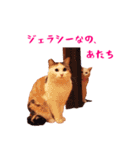 コトのおちり（個別スタンプ：17）