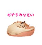 コトのおちり（個別スタンプ：18）