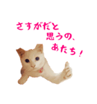 コトのおちり（個別スタンプ：21）
