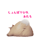 コトのおちり（個別スタンプ：22）