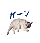 コトのおちり（個別スタンプ：23）