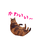 コトのおちり（個別スタンプ：25）