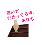 コトのおちり（個別スタンプ：27）