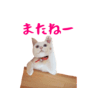 コトのおちり（個別スタンプ：28）