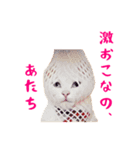 コトのおちり（個別スタンプ：29）