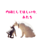 コトのおちり（個別スタンプ：30）