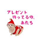 コトのおちり（個別スタンプ：33）