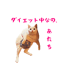 コトのおちり（個別スタンプ：34）