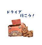 コトのおちり（個別スタンプ：37）