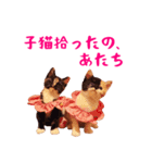 コトのおちり（個別スタンプ：38）