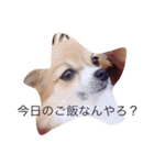 むぅたれ（個別スタンプ：6）