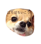 むぅたれ（個別スタンプ：8）